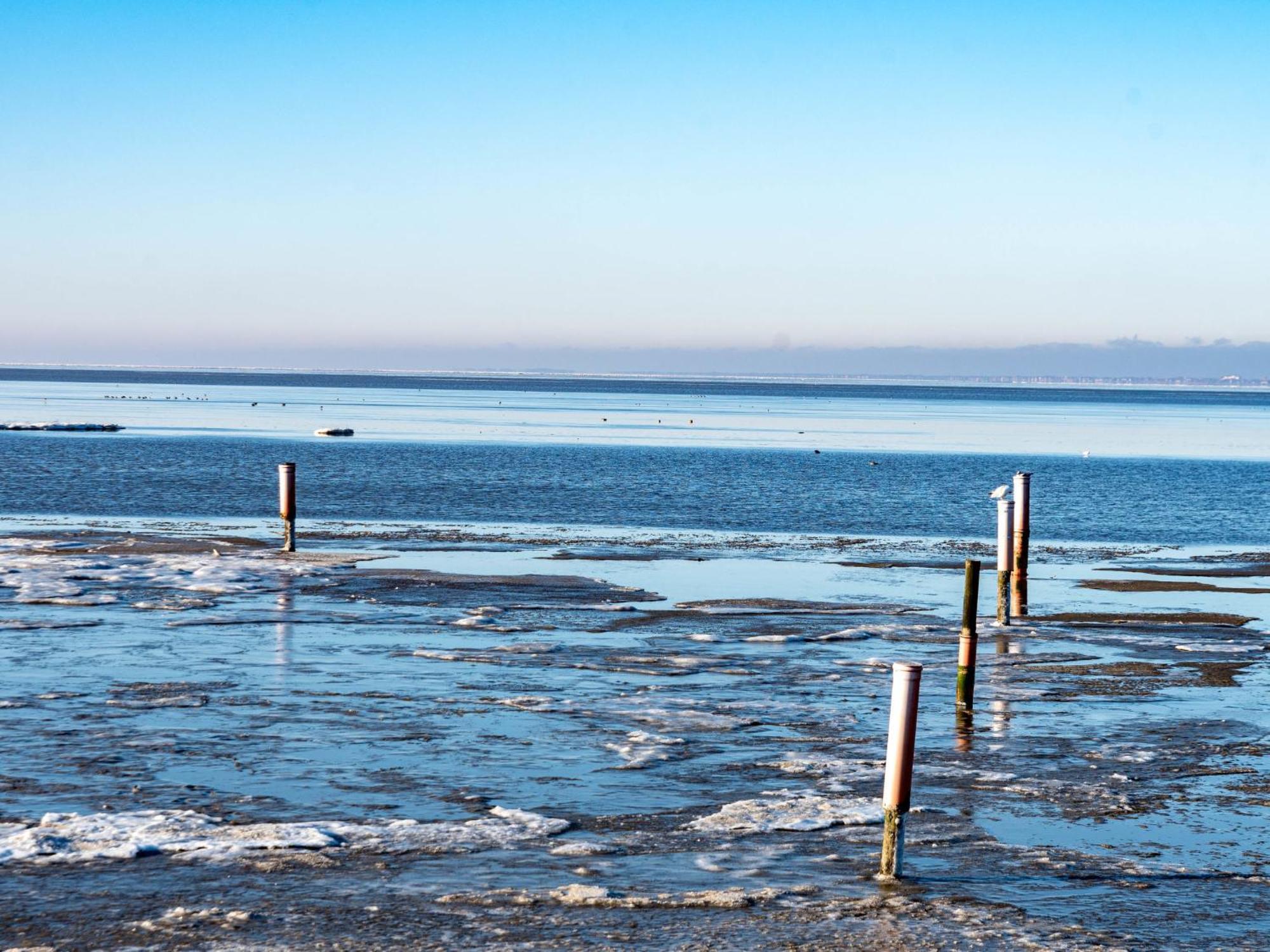 Fischerstube Norddeich (Norden)